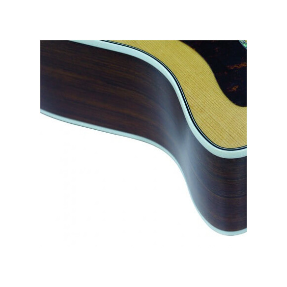 Compra GA5F BW NS online | MusicSales