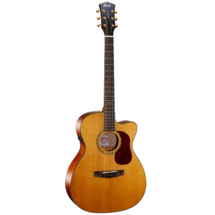 Compra Gold-OC6 Natural Gloss online | MusicSales