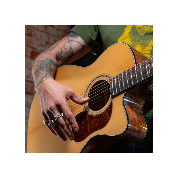 Compra Gold-OC6 Natural Gloss online | MusicSales