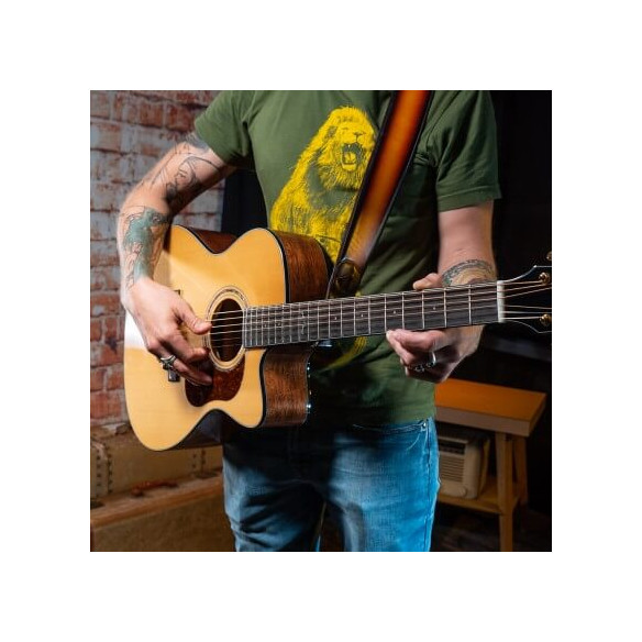 Compra Gold-OC6 Natural Gloss online | MusicSales