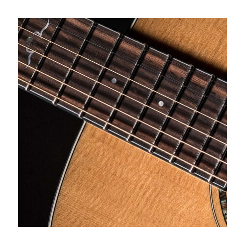 Compra Gold-OC6 Natural Gloss online | MusicSales