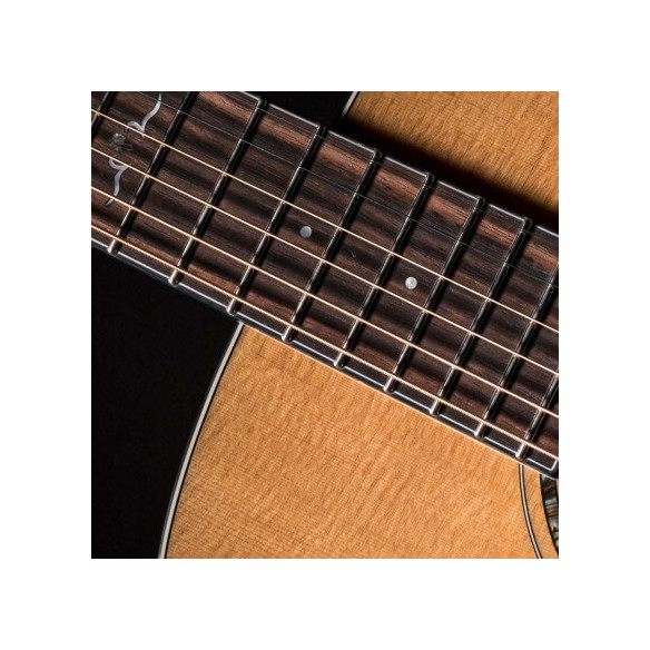 Compra Gold-OC6 Natural Gloss online | MusicSales