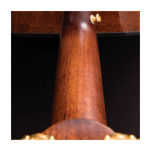 Compra Gold-OC6 Natural Gloss online | MusicSales