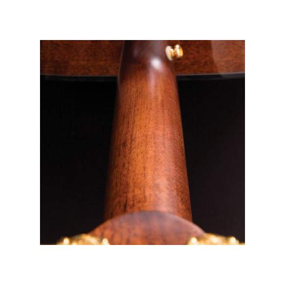 Compra Gold-OC6 Natural Gloss online | MusicSales