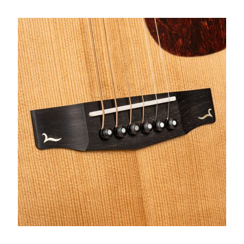 Compra Gold-OC6 Natural Gloss online | MusicSales