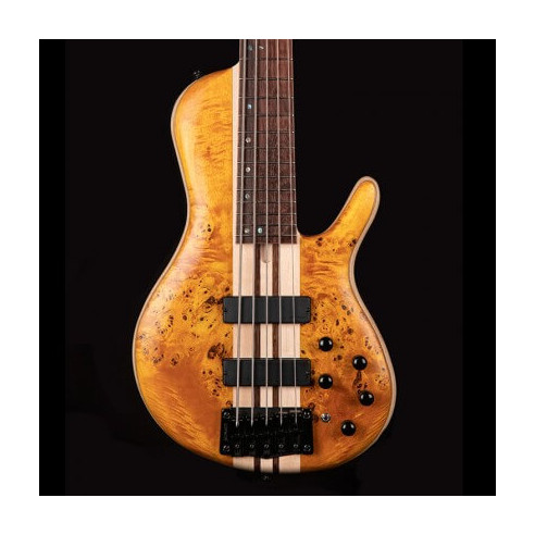 Cort A5 PLUS SC (REGULAR SCALE) Bajo eléctrico 5 cuerdas