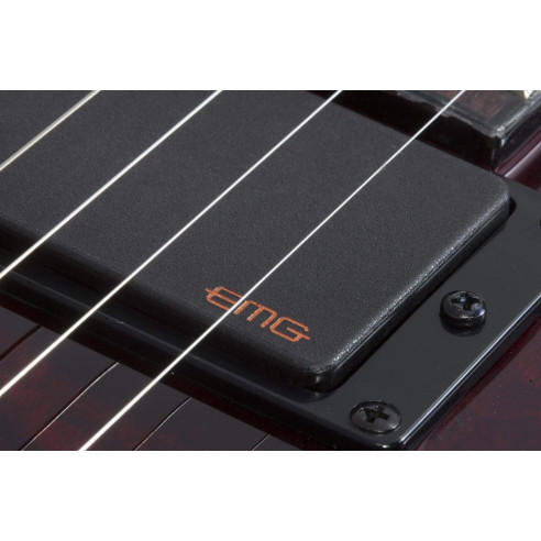 Schecter Hellraiser C-1 FR BCH