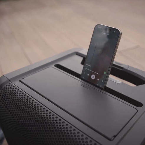 ANNY 10 HHD 2 B5 Equipo Portátil a Batería c/2micros mano