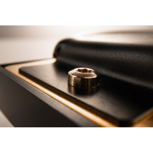 Hohner Armónica PRO HARP NEW DB (RE Bemol)