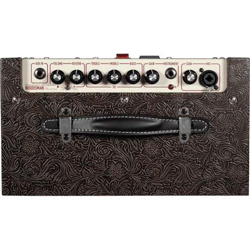 Ashdown WOODSMAN PARLOUR Amplificador guitarra acústica 25W