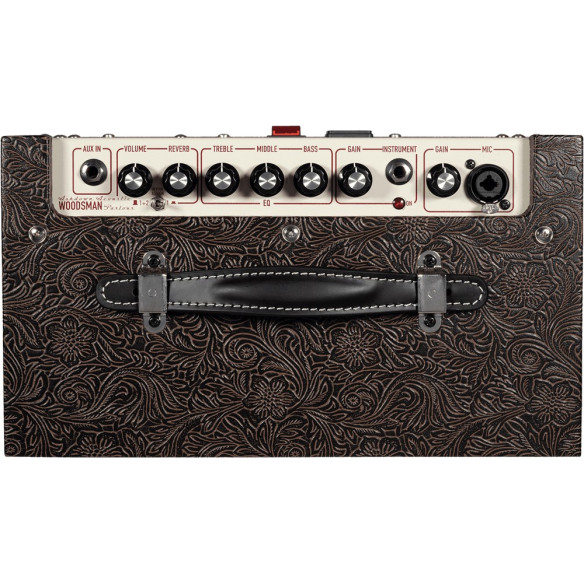 Ashdown WOODSMAN PARLOUR Amplificador guitarra acústica 25W