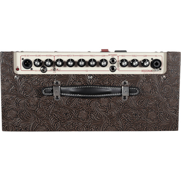 Ashdown WOODSMAN CLASSIC Amplificador guitarra acústica 40W