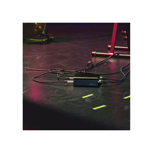 Palmer RIVER ELDE Caja DI pasiva de 2 canales