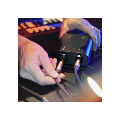 Palmer RIVER KYLL Caja aislante de línea pasiva de 2 canales