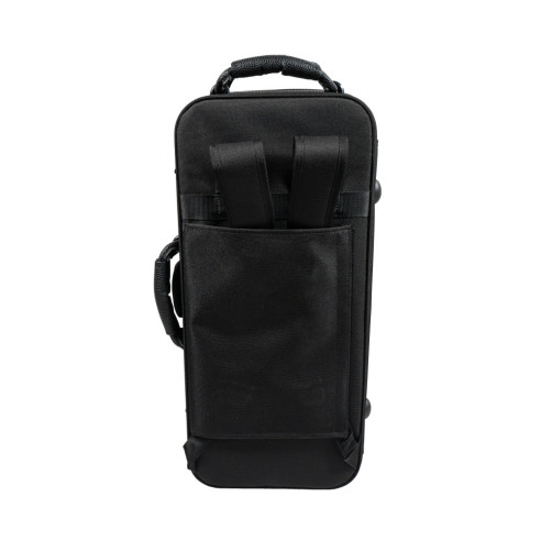 Taylor Collins SA-1 Saxo Alto Lacado mate