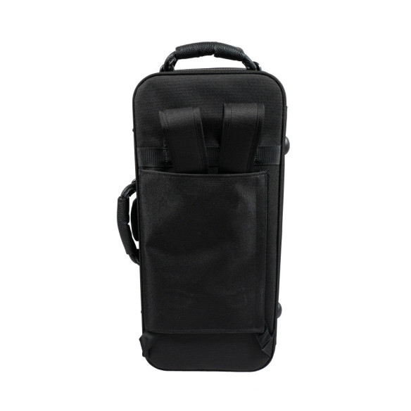 Taylor Collins SA-1 Saxo Alto Lacado mate