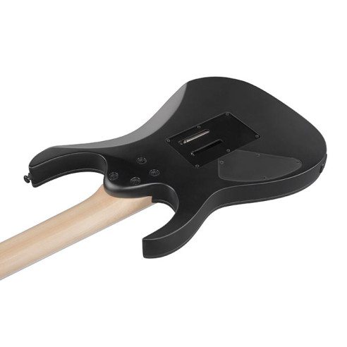 RG7420EX BKF Guitarra Eléctrica de 7 Cuerdas