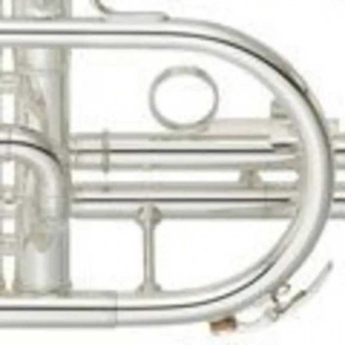 YAMAHA YCR-4330 GSII Corneta estudio