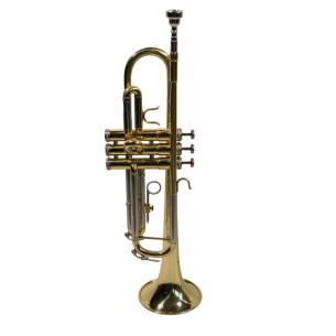 Taylor Collins  TR-1 Tompeta en Sib