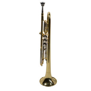 Taylor Collins  TR-1 Tompeta en Sib 2