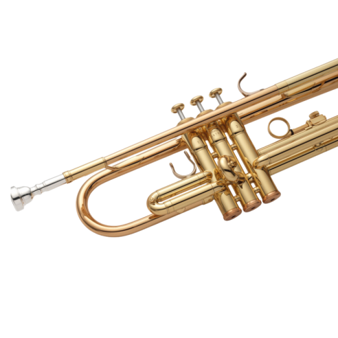 Yamaha YTR-8335RC Trompeta en Sib Lacada
