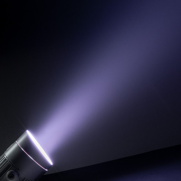 Cameo Q-SPOT 40i W Foco para exteriores con LED RGBA