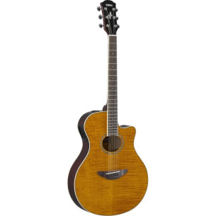 APX600FM AM Guitarra Acústica APX con cutaway