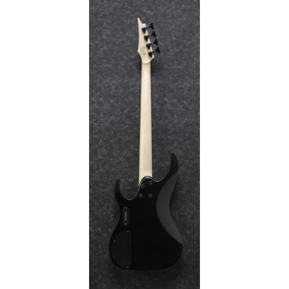 Compra RGB300-BKF online | MusicSales