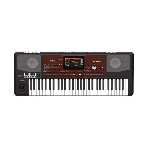 Korg PA700 Oriental Teclado Arranger
