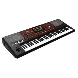 Korg PA700 Oriental Teclado Arranger 2
