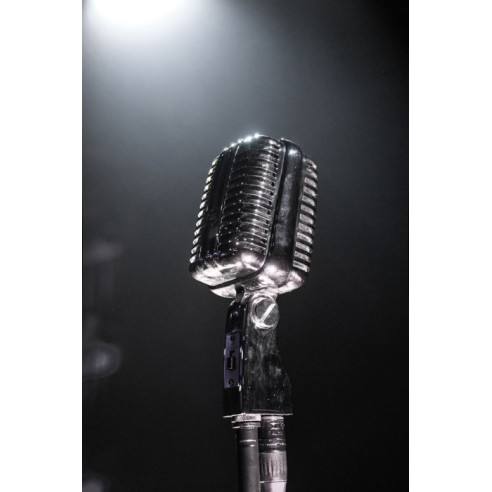 Dap Audio VM-60 Micro Dinámico Diseño Vintage