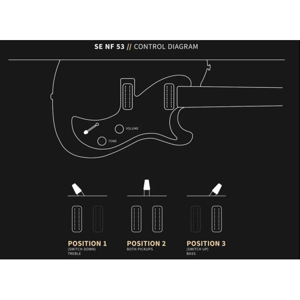 PRS SE NF53 BLK DOGHAIR Guitarra Eléctrica