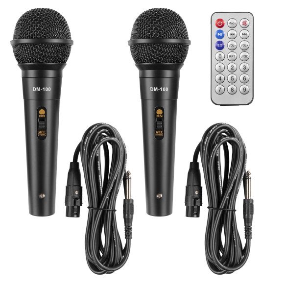 Fenton LIVE290 Equipo Sonido i Luces  para Karaoke con Batería ,BT/MP3/SD, y 2 Micros