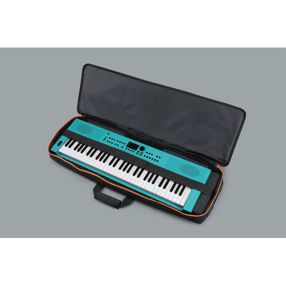 Roland CB-V61 Funda Teclado 61 teclas Roland CB-V61 Funda Teclado 61 teclas