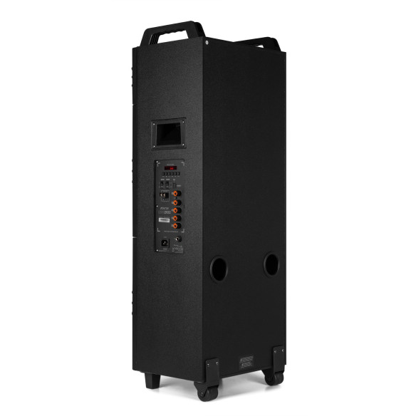 Fenton LIVE2102 Altavoz para fiestas con BT/MP/SD , Micro y Luces Led