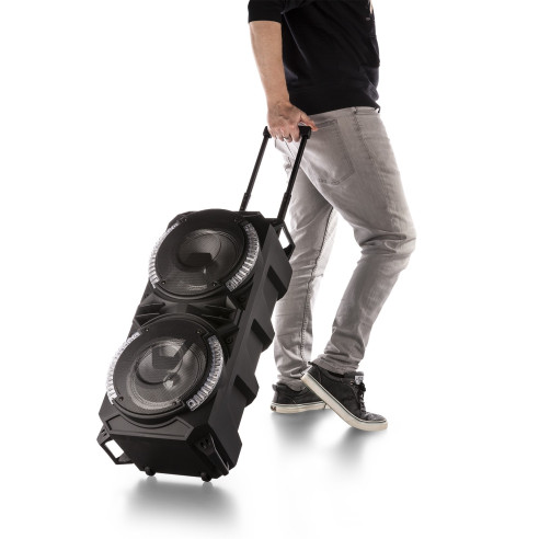 Fenton LIVE280 Altavoz para Karaoke con 2 micrófonos BT/MP·/SD, y Luces Led