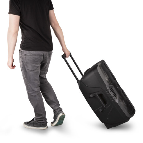 Fenton FT210LED Altavoz Portátil Trolley a batería,con Bluetooth,Micrófono y luces Led