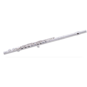 Compra F505-R Forza Plateada online | MusicSales