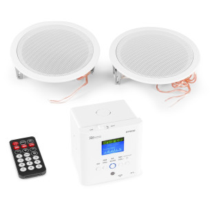 Power Dynamics BTW30SET Sistema Musica Ambiental 2 x 5" Amplificado con USB/MP3/BT/RadioFM
