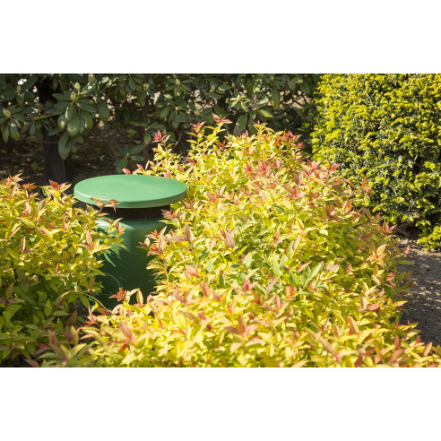 Power Dynamics GS530 Altavoz de jardin IPX5 30W 100V 5,25"