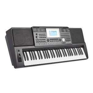 Medeli A810 Teclado 61 Teclas Arranger 2