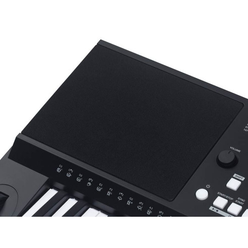 Medeli MK300 Teclado Doméstico 61 teclas con respuesta táctil