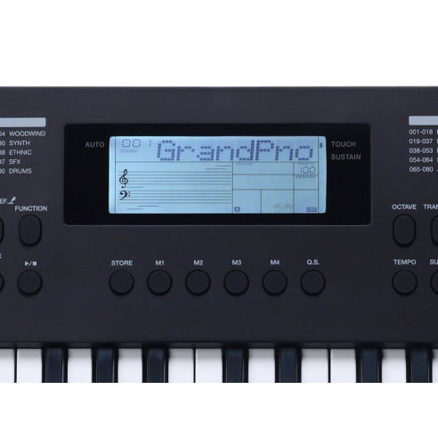 Medeli MK49/BK Teclado Doméstico 49 teclas