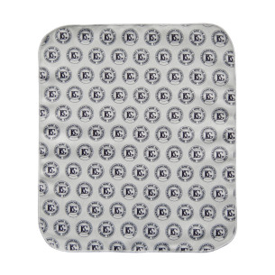 BG Gamuza Microfibra Limpieza Instrumentos A62