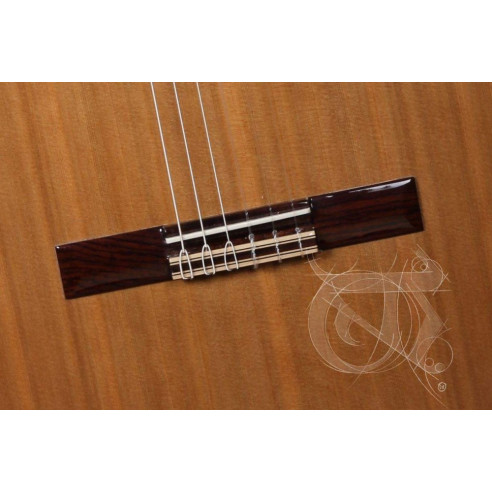 Guitarra clásica Alhambra Iberia Ziricote con tapa maciza de cedro, cuerpo de ziricote y diapasón de palosanto.