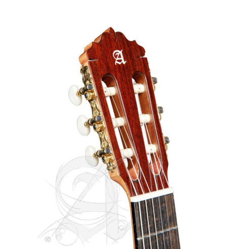 comprar Guitarra Clásica Alhambra 6 OLIVO de la serie Conservatorio con tapa de cedro macizo y aros y fondo de Olivo.