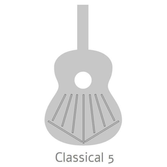 comprar Guitarra Clásica Alhambra 6 OLIVO de la serie Conservatorio con tapa de cedro macizo y aros y fondo de Olivo.