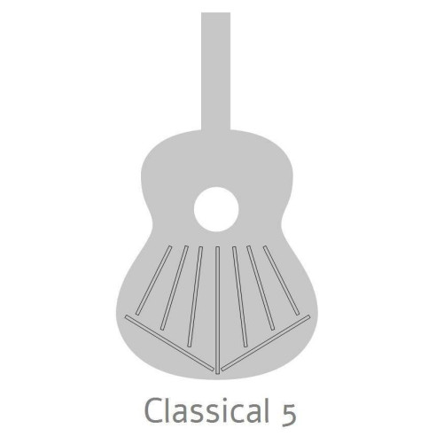 Alhambra 6 EBANO BLANCO Guitarra Clásica con funda