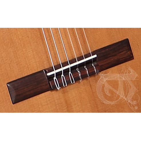 Alhambra Z-Nature CT-EZ Guitarra Española Electrificada