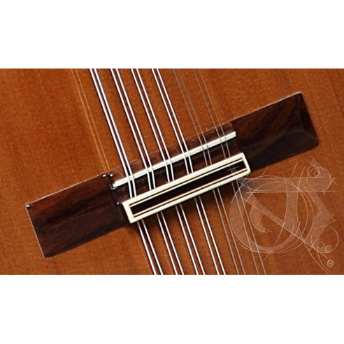 comprar Laúd Alhambra L-4P, un laud tradicional con tapa de Cedro macizo y aros y fondo de Palosanto de India.